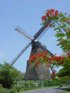 Morgan Lewis one of the few complete windmills in the Caribbean