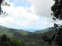 The trail through the rainforest is short and well signposted with two overlooks, one provides a view down the Belle Fille Valley towards the rough Atlantic east coast of the island.