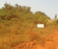"Africa Prayer Mountain for All Nations". 