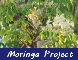 Moringa Project