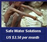 Safe Water Solutions US $2.50 per month