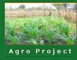 Agro Project