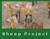 Feeding Project