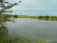 River Plantation lake