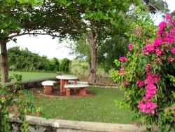 There is a lovely peaceful ambience to the property and it is ideal for a your church retreat or Mission Vacation.