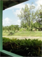 Angels Annex is located in a lovely tropical garden with wide open spaces for rest and recreation. 