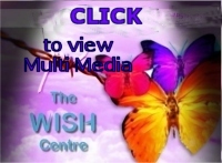 Click to view  the Multi Media Presentation.