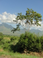 Malawi