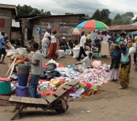 The Democratic Republic of the Congo