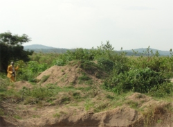 The Africa Bureau of Children's Development (ABCD) has established a Ugandan Land Sand Mining Business to fund the many ABCD initiatives in Uganda and throughout Africa.