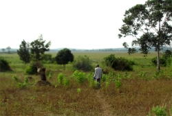 The Africa Bureau of Children's Development (ABCD) has established a Ugandan Land Sand Mining Business to fund the many ABCD initiatives in Uganda and throughout Africa.