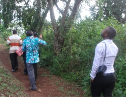 The Africa Bureau of Children's Development (ABCD) has had 4 acres of agriculture land donated to establish Hope Farm Moringa Project.