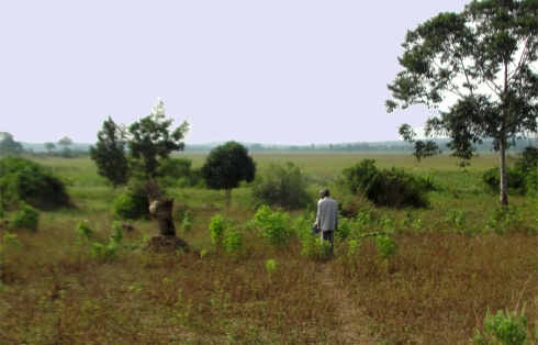 The Africa Bureau of Children's Development  (ABCD) has established  a Ugandan Land Sand Mining Business