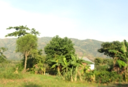 Kasese District is named after its 'chief town', Kasese.
