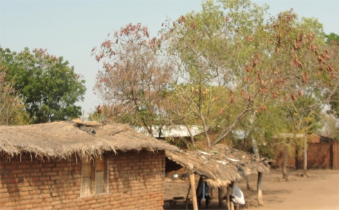 Vuwa ATBS Malawi Pastors seminar child evangelism and Moringa Community Project training