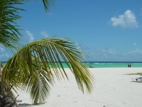 Barbados 