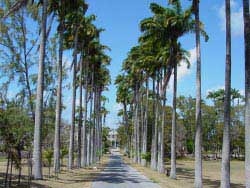 Codrington College