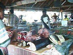 Oistins is Barbados'  fishing capital.