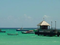 Oistins the island's fishing capital.