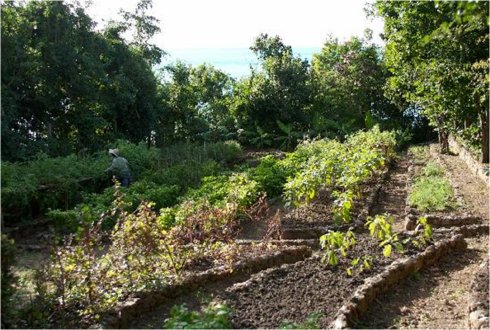 Goshen Citizenship by  Investment Programme CIP Caribbean Agro Tourism