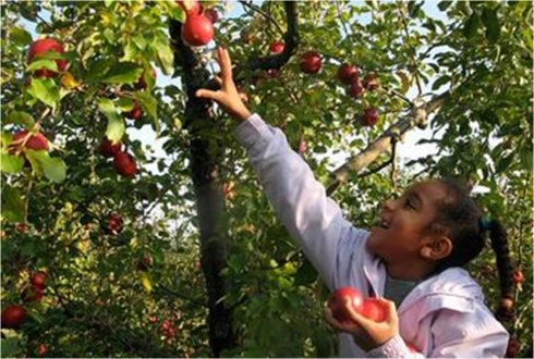 Goshen Citizenship by  Investment Programme CIP Caribbean Agro Tourism