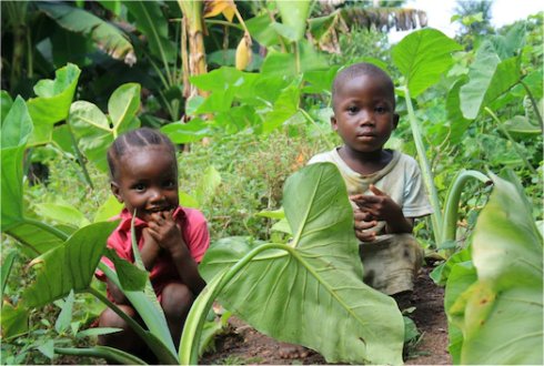 Goshen Citoyennet Par Investissement Agriculture Biologique