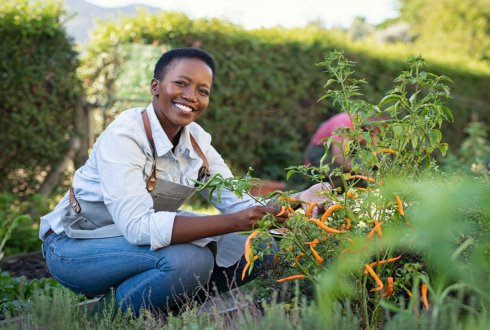 Goshen Citizenship by  Investment Nevis and St Kitts Development Project real estate
