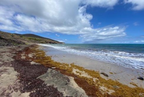 Goshen Citizenship by  Investment Nevis and St Kitts Development Project real estate