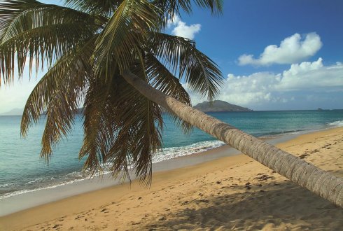 Goshen Citizenship by  Investment Nevis and St Kitts Development Project real estate