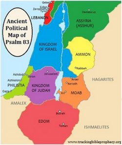 The Arab nations of the world will attack Israel 
                      in a coordinated effort to annihilate the state