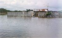 Photo compliments of the  Guyana Citizens” Initiative for Flood Relief,(GCIFR)