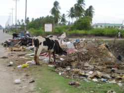 Photo compliments of the  Guyana Citizens” Initiative for Flood Relief,(GCIFR)