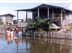 Photo compliments of the  Guyana Citizens” Initiative for Flood Relief,(GCIFR)