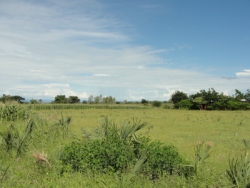Land has been donated to build the first Malawi PowerPlay Child Care Center. Praise God.