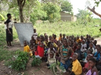 Africa Community Moringa Project: