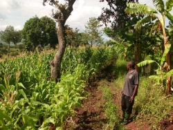 UCT Tanzania land