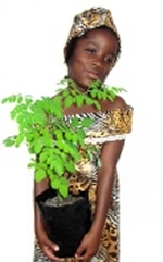 Tanzania Moringa project