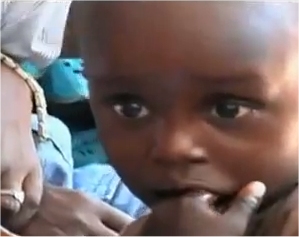 In developing tropical countries, Moringa trees have been used to combat malnutrition, especially among infants and nursing mothers.