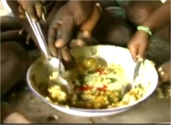 In developing tropical countries, Moringa trees have been used to combat malnutrition, especially among infants and nursing mothers.