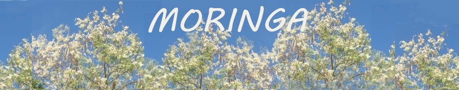 Moringa