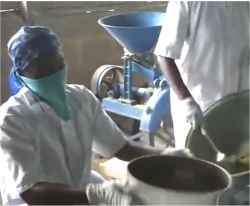 Moringa processing