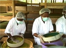 Step 7- Sieving