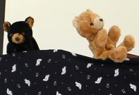 The talking animals