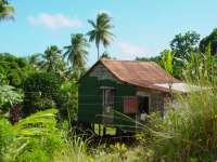 Dominica's Caribs now live in eight villages within the 3,700 acres of land on the east coast of Dominica known as the ‘Carib Territory’.