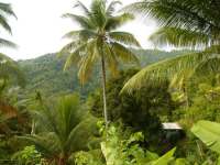 Dominica Carib Territory