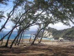 Cove Bay is a remote rugged part of Barbados located to the North East of the island.