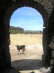 Cove Bay is a remote rugged part of Barbados located to the North East of the island.