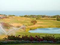 Sandy Lane golf course.