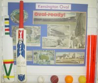 Congratulations on an excellent Cricket World Cup exhibition  click to enlarge