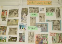 Congratulations on an excellent Cricket World Cup exhibition  click to enlarge